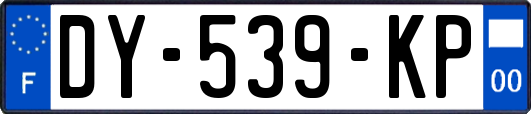 DY-539-KP