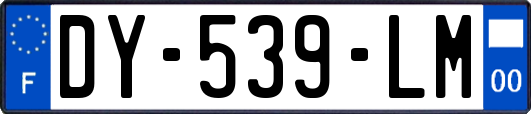 DY-539-LM