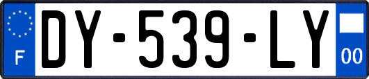 DY-539-LY