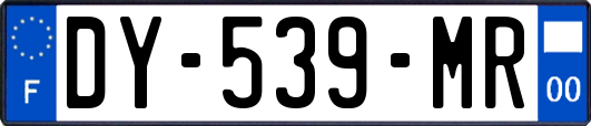 DY-539-MR