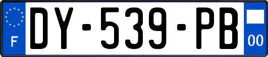 DY-539-PB