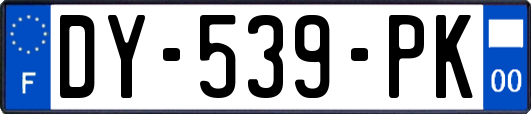 DY-539-PK