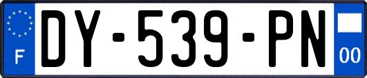 DY-539-PN