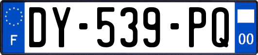 DY-539-PQ