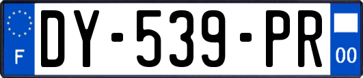 DY-539-PR