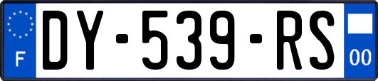 DY-539-RS