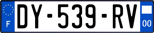 DY-539-RV