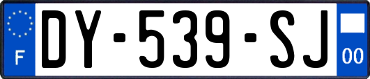 DY-539-SJ