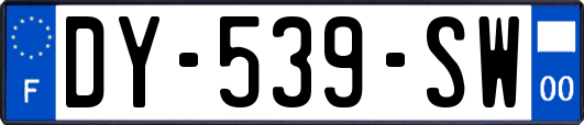 DY-539-SW