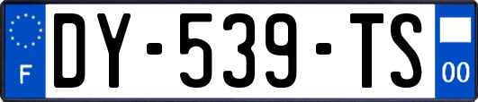 DY-539-TS