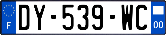 DY-539-WC