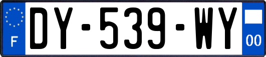 DY-539-WY