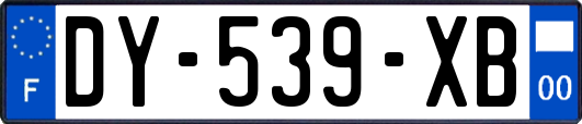 DY-539-XB