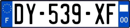 DY-539-XF