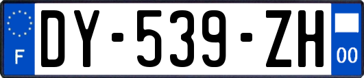 DY-539-ZH