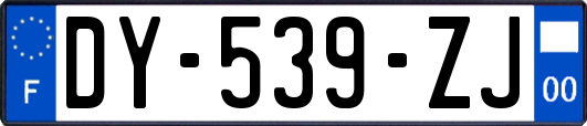 DY-539-ZJ