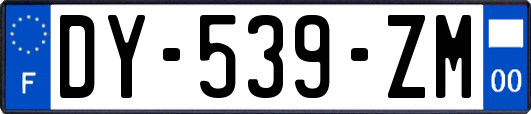 DY-539-ZM