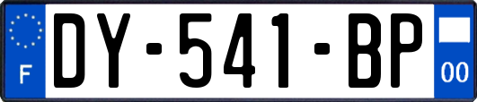 DY-541-BP