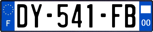 DY-541-FB