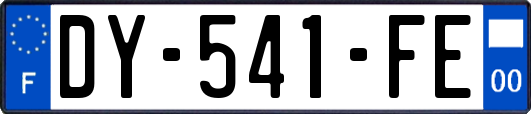 DY-541-FE
