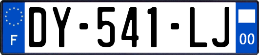 DY-541-LJ