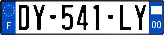 DY-541-LY