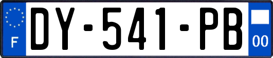 DY-541-PB