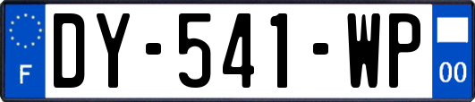 DY-541-WP