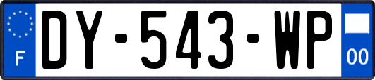 DY-543-WP