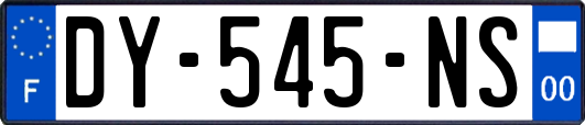 DY-545-NS