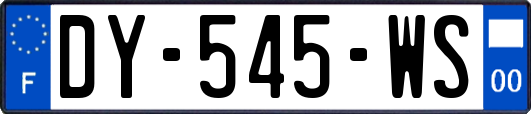 DY-545-WS