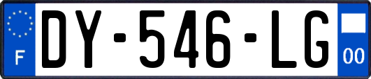 DY-546-LG