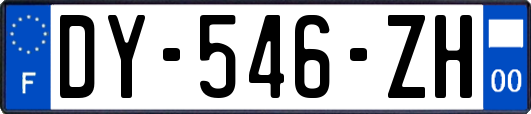 DY-546-ZH