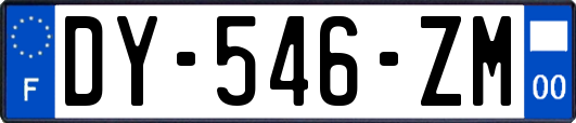 DY-546-ZM