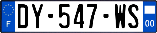 DY-547-WS