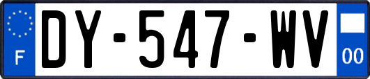 DY-547-WV