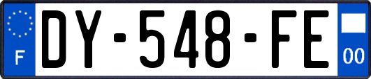 DY-548-FE