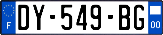 DY-549-BG