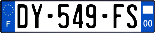 DY-549-FS
