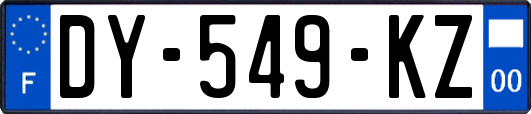 DY-549-KZ