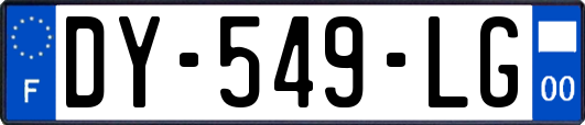 DY-549-LG
