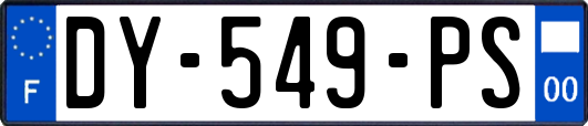 DY-549-PS