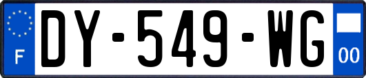 DY-549-WG