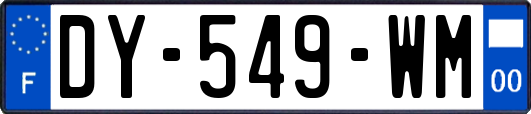 DY-549-WM