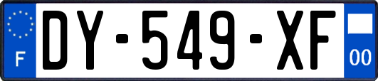 DY-549-XF