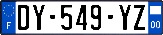 DY-549-YZ