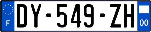 DY-549-ZH