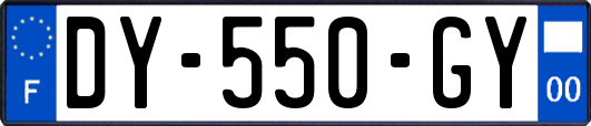 DY-550-GY