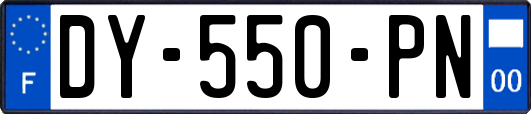 DY-550-PN