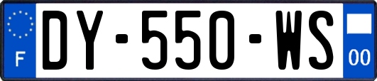 DY-550-WS